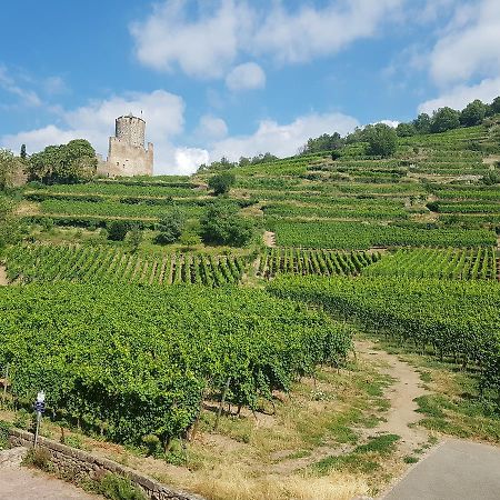 Kaysersberg City Center - Cote Vignoble - Eksteriør bilde
