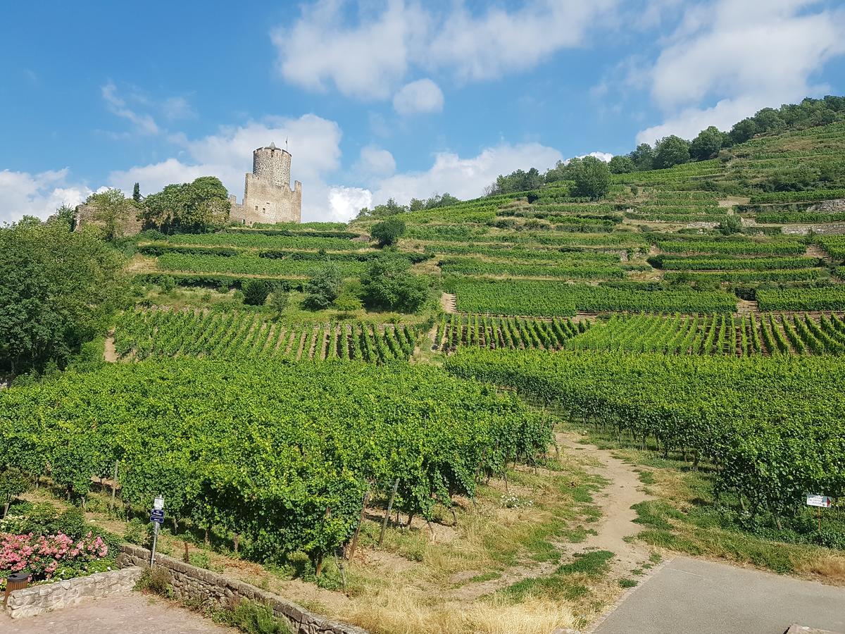 Kaysersberg City Center - Cote Vignoble - Eksteriør bilde